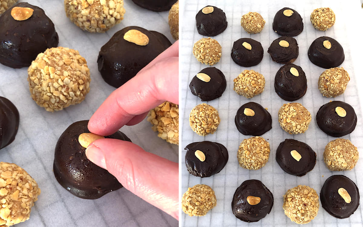 Finished peanut butter balls recipe with chocolate coating and crushed roasted peanuts chilling on parchment paper before serving